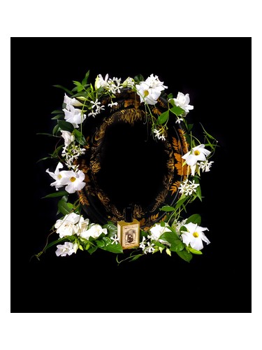 Solstice Scents Flowers Nocturnal