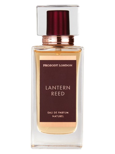 Prosody London Lantern Reed