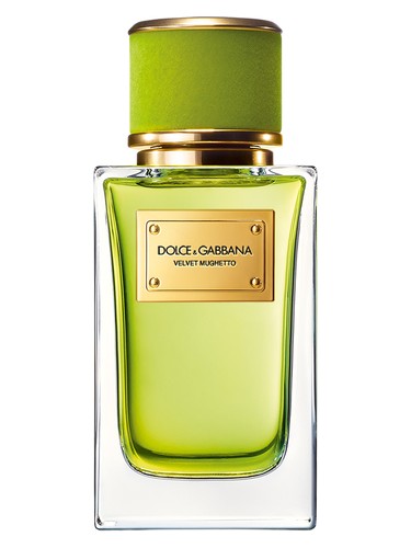 Dolce Gabbana Velvet Mughetto fragrance bottle
