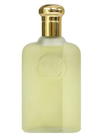 Polo Play Play fragrance bottle