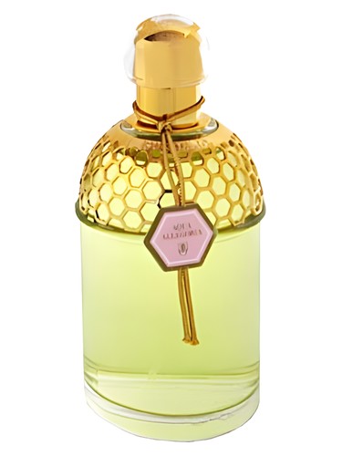 Guerlain Aqua Allegoria Rosa Magnifica fragrance bottle