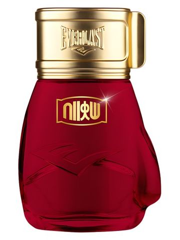 Everlast Choice Of Champions Street Fighter Hadouken fragrance bottle