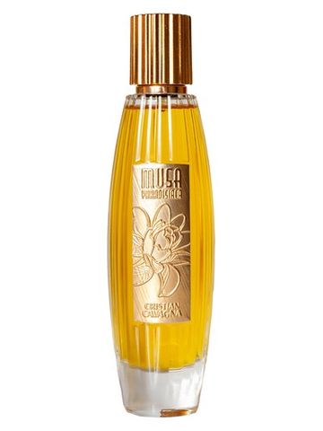 Cristian Cavagna Musa Paradisiaca fragrance bottle