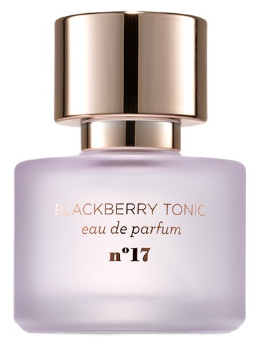 Mix:Bar Blackberry Tonic