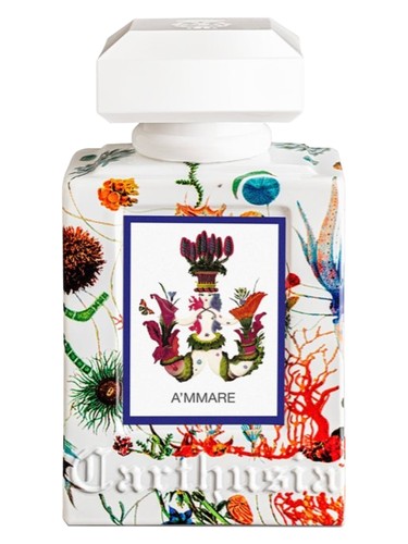 Carthusia A'mmare fragrance bottle