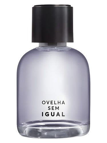 Quem Disse Berenice Ovelha Sem Igual