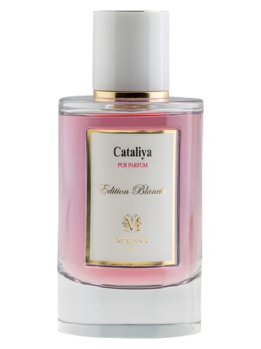 Maissa Parfums Cataliya fragrance bottle