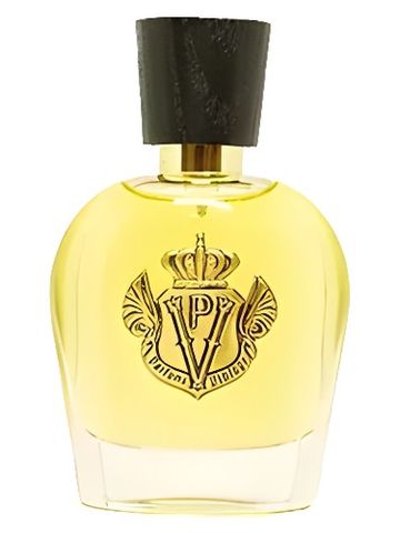 Parfums Vintage Enigmatic Man fragrance bottle