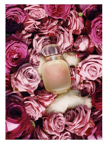 Les Parfums de Rosine Une Folie de Rose