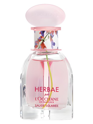 L Occitane en Provence Herbae Clary Sage