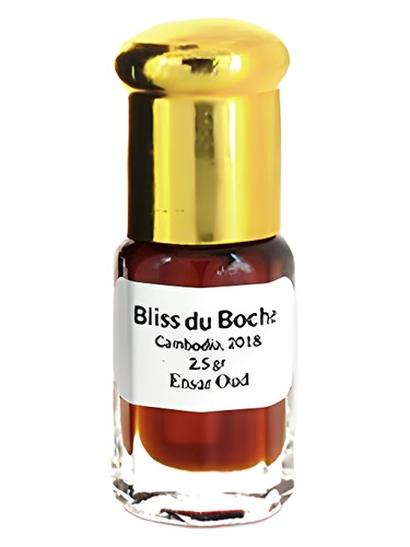 Ensar Oud Bliss du Boche Oud fragrance bottle