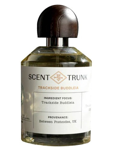 Scent Trunk Trackside Buddleia