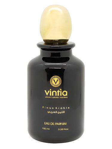 Vintìa Ficus Arabie