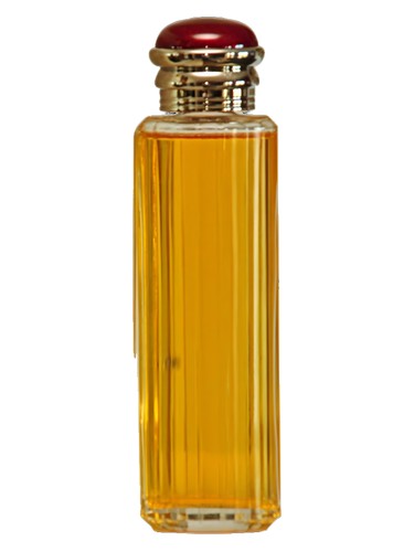 Burberry Society fragrance bottle