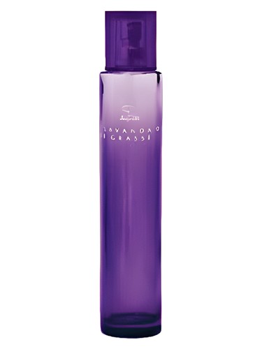 Jequiti Lavanda de Grasse