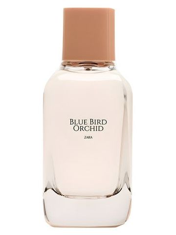 Zara Blue Bird Orchid fragrance bottle