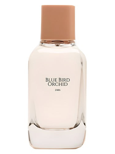Zara Blue Bird Orchid fragrance bottle