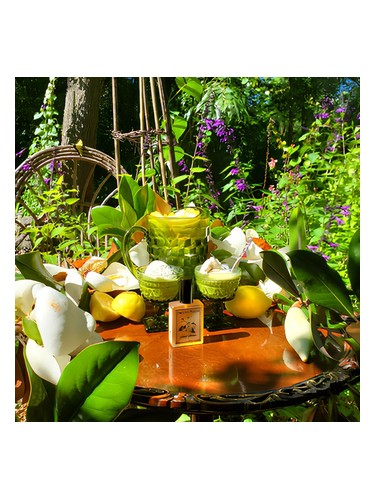 Solstice Scents Solstice Magnolia fragrance bottle