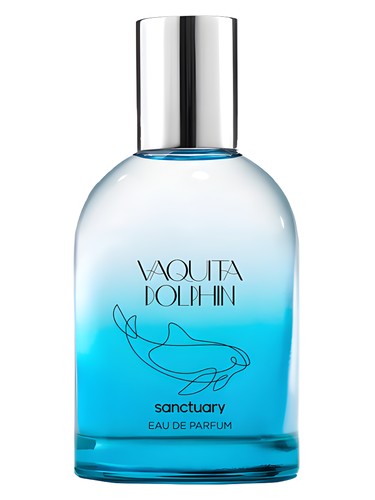 Sanctuary Vaquita Dolphin