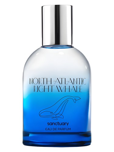 Sanctuary North Atlantic Right Whale