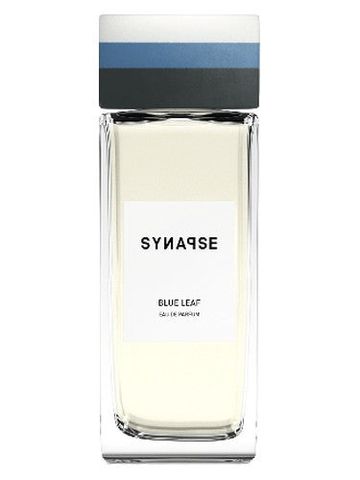 Synapse Blue Leaf fragrance bottle