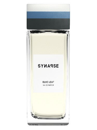 Synapse Blue Leaf