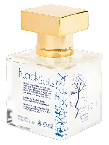 For the Scent of It Black Sails fragrance bottle