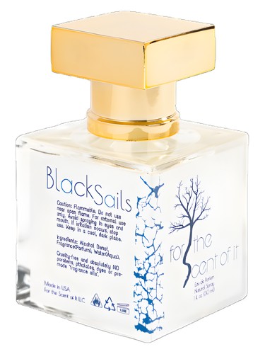 For the Scent of It Black Sails fragrance bottle