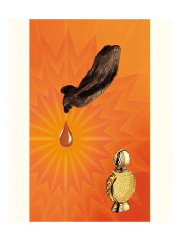 Rasasi Shatha Al Oudh fragrance bottle