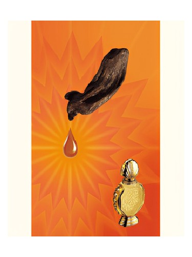 Rasasi Shatha Al Oudh fragrance bottle