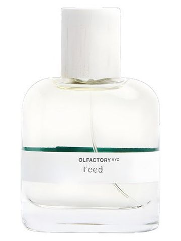 Olfactory NYC Reed fragrance bottle