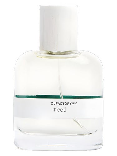 Olfactory NYC Reed fragrance bottle