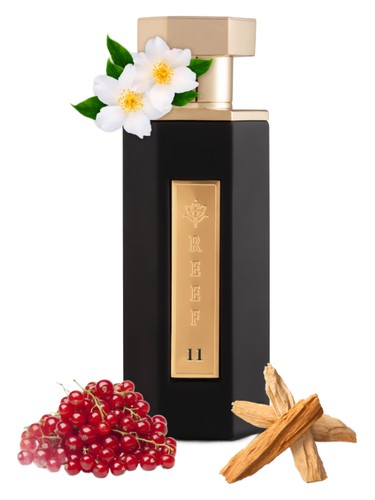 Reef Perfumes Reef 11 fragrance bottle