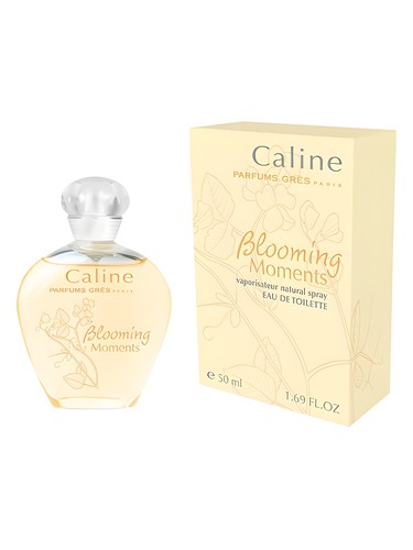 Gres Caline Blooming Moments