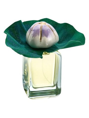 Mendittorosa Mauna fragrance bottle
