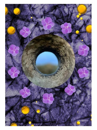 ånd fragrances Crown Of Violets