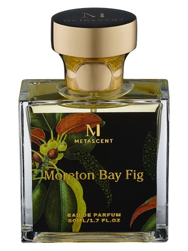 MetaScent Moreton Bay Fig fragrance bottle