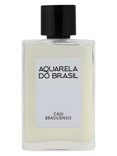 Aquarela do Brasil Caju Brasiliensis