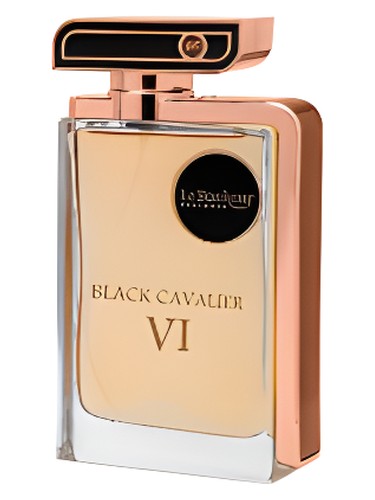 Le Bonheur Perfumes Black Cavalier VI fragrance bottle