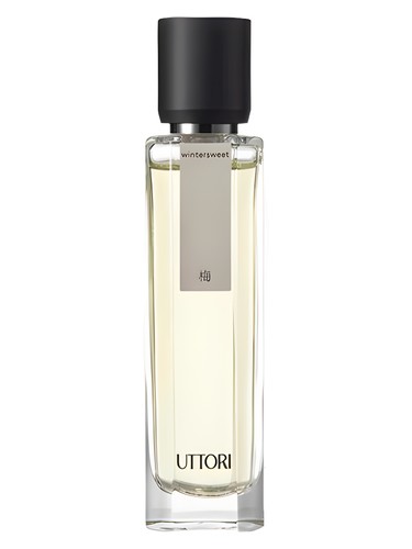 Uttori 五朵里 Wintersweet 梅