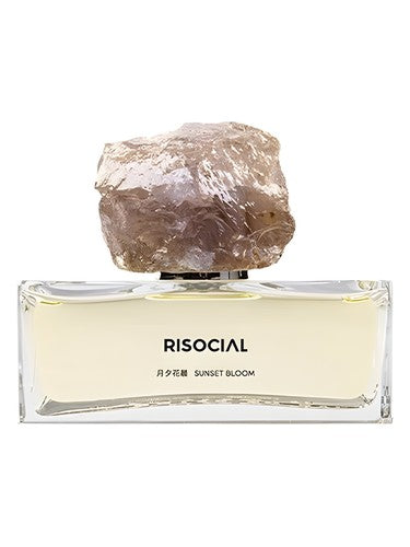 Risocial 在野南杂 Sunset Bloom 月夕花晨