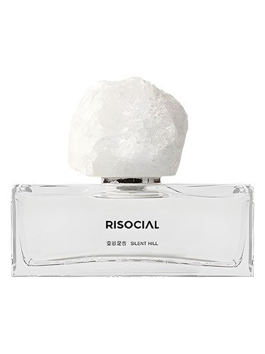 Risocial 在野南杂 Silent Hill 空谷足音