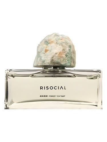 Risocial 在野南杂 Forest Catnap 森屿假寐