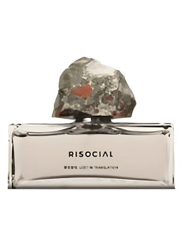 Risocial 在野南杂 Lost In Translation 禁忌游戏