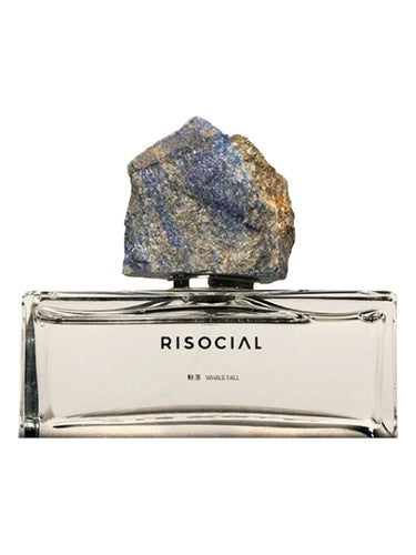 Risocial 在野南杂 Whale Fall 鲸落
