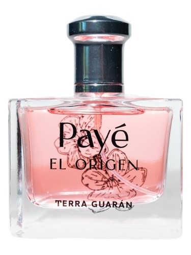 Terra Guarán Payè El Origen