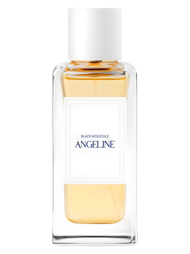 Angeline Black Molecule fragrance bottle