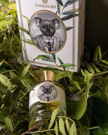 Zoologist Koala Joey Edition fragrance bottle