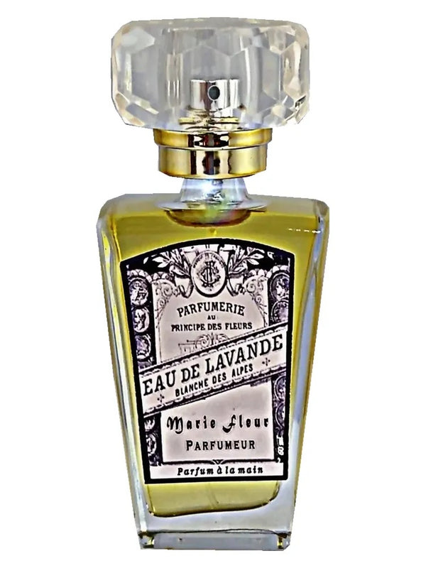 Atelier Segall Barutti Eau de Lavander