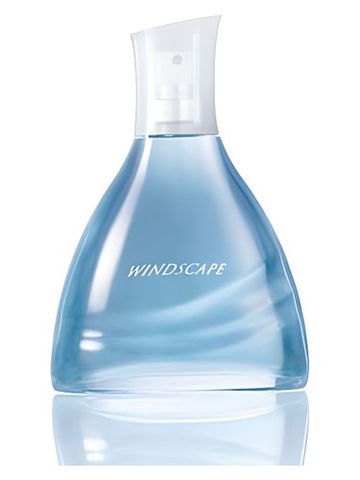 Avon Windscape for Him fragrance bottle
